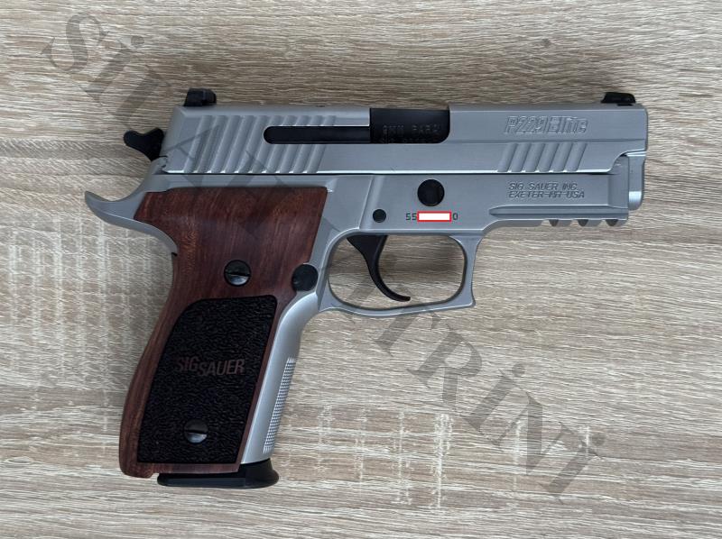 SIG SAUER P229 ELİTE STANLES