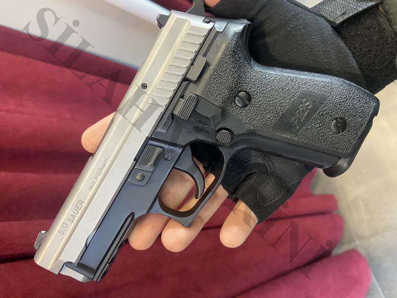 Sig Saure p229 also two tone