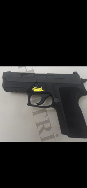 SIFIR SIG SAUER P229