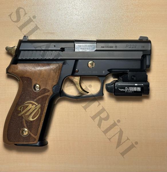 Sig P 229